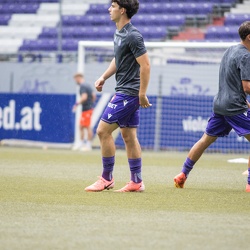 Young Violets Austria Wien